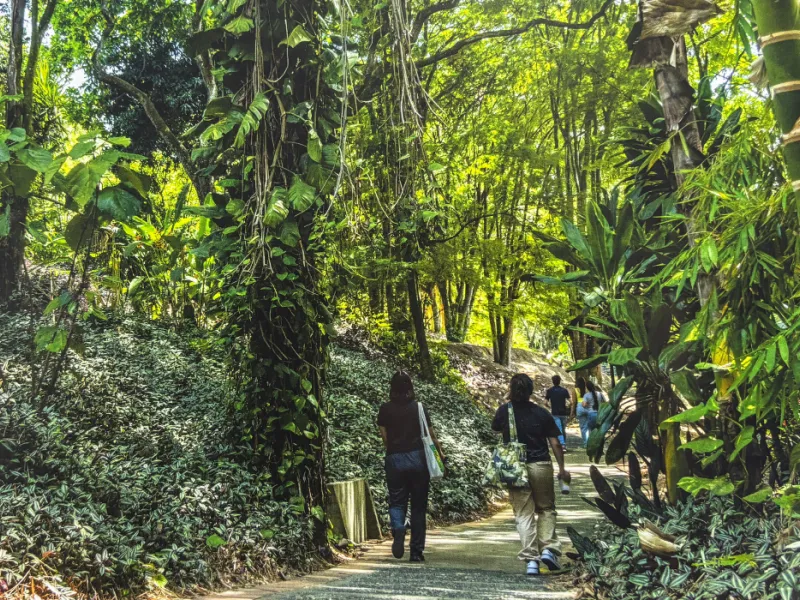 javeriana-librocop16-biodiversidad-cali